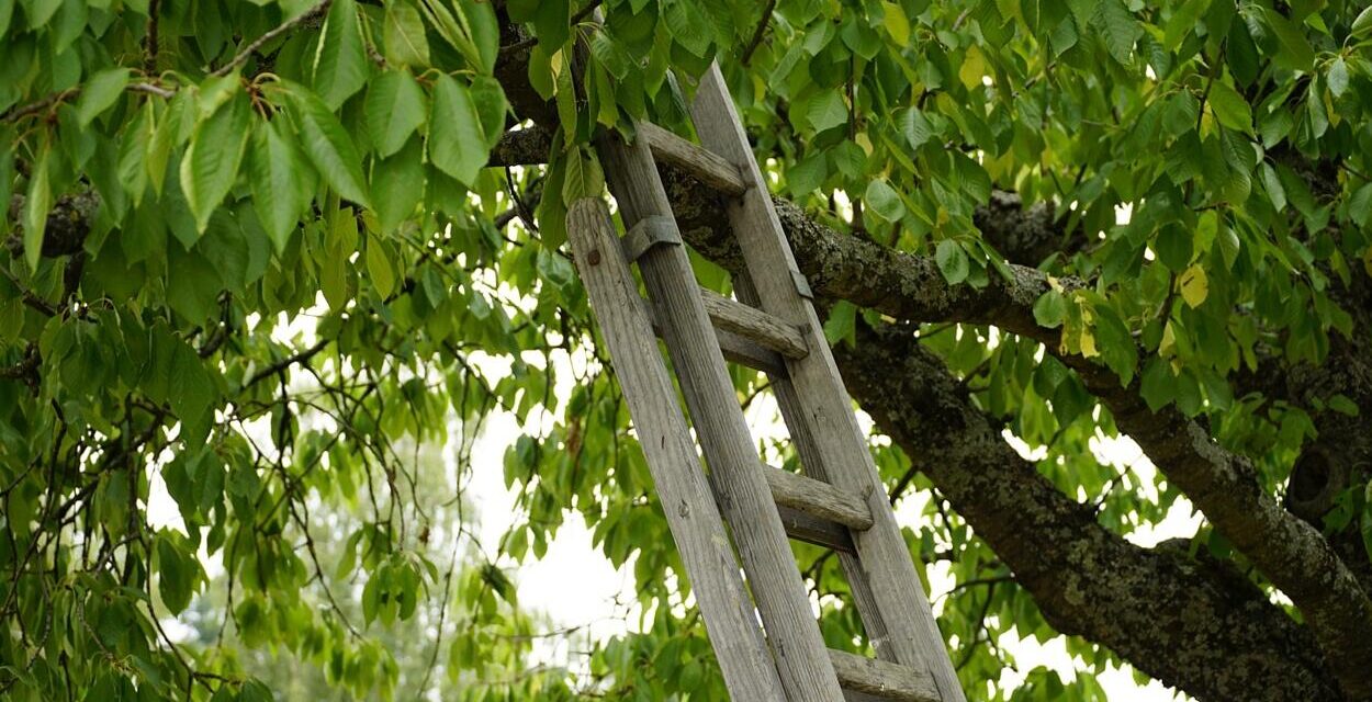 Hogyan válasszunk megfelelő támasztólétrát?