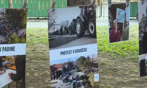 Akadémiai Plénum: Vučić relativizálja a szlovákok elleni támadásokat