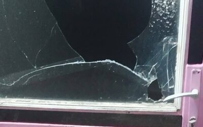 VMDK: Elítéljük a Jelena Ljuboja elleni támadást