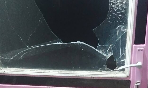 VMDK: Elítéljük a Jelena Ljuboja elleni támadást