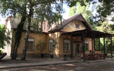 Mi lett a Topolyai Művészteleppel? Klájó Adrián: Nem méltó a tartalom, amivel most a Művésztelep épületét megtöltik