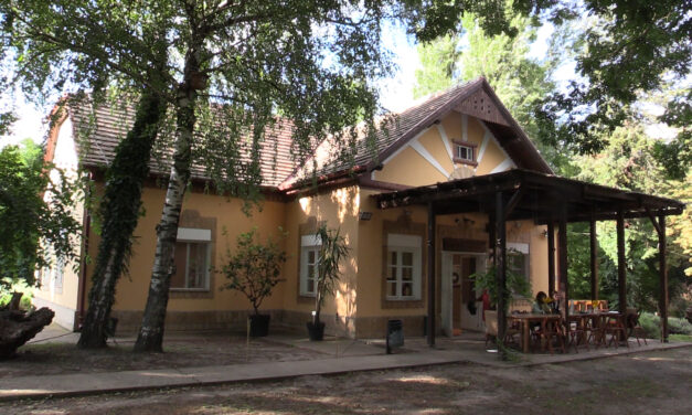 Mi lett a Topolyai Művészteleppel?