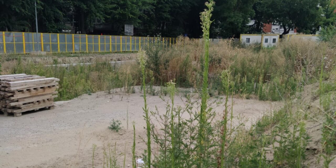 VMDK: Mi történik a Szabadegyetem mögött?