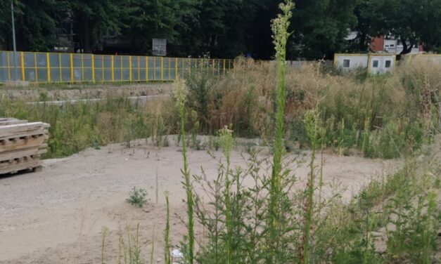 VMDK: Mi történik a Szabadegyetem mögött?