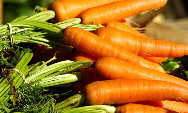 Tudatos étkezés: a döntések valóban számítanak