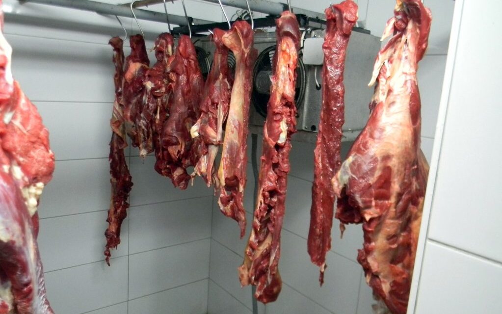 Harminc tonna hús került forgalomba egy Hódság melletti illegális vágóhídról