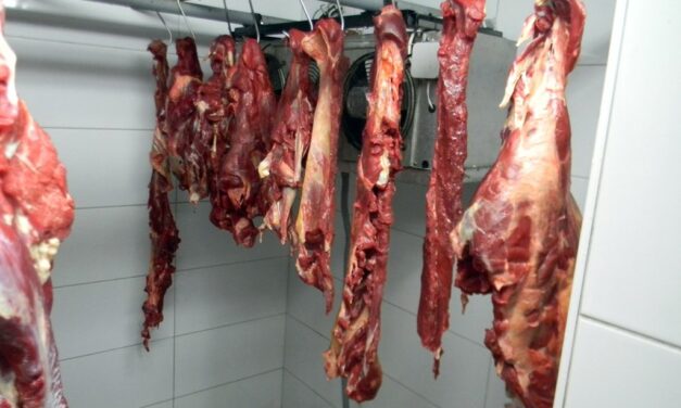 Harminc tonna hús került forgalomba egy Hódság melletti illegális vágóhídról