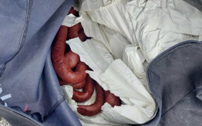 Fél tonna sudžuk kolbászt és estélyi ruhákat találtak a vámosok egy járműben