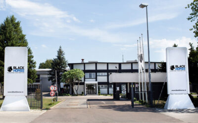 Beindul a Black Horse