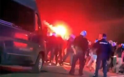 VMDK: Verőlegények Szabadka szívében!