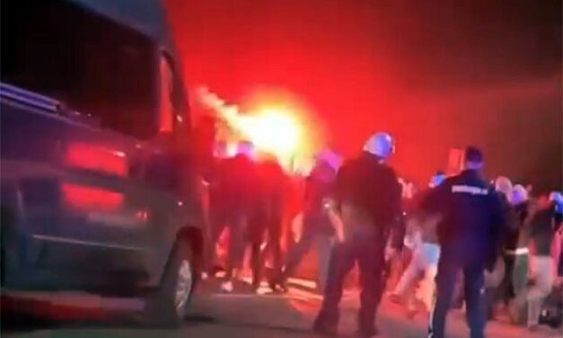 VMDK: Verőlegények Szabadka szívében!