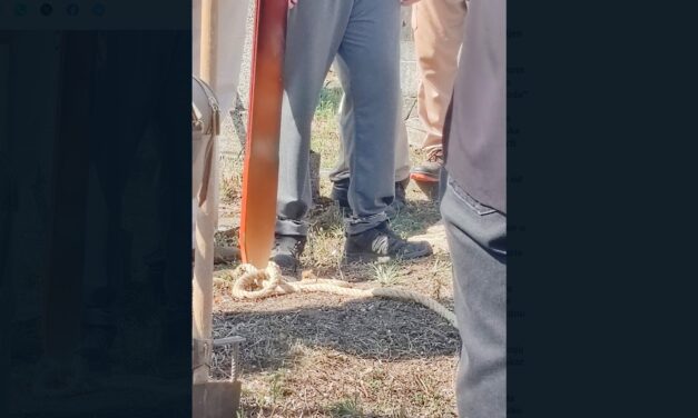 Láncra verve vitték apja temetésére az éhségsztrájkoló újvidéki diákot (Fotó)