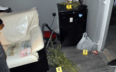 Lebukott egy fiatal szabadkai drogdíler