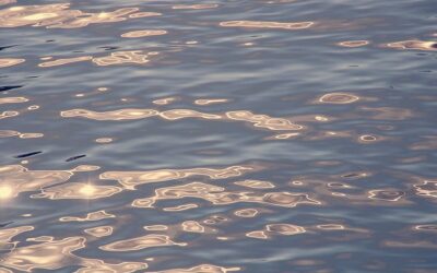 Holttestet találtak a Duna–Tisza–Duna csatornában