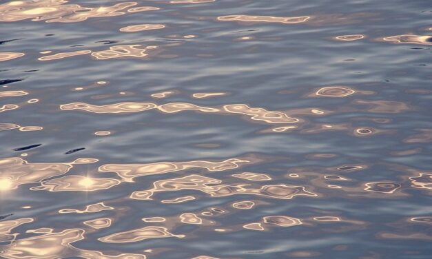 Holttestet találtak a Duna–Tisza–Duna csatornában