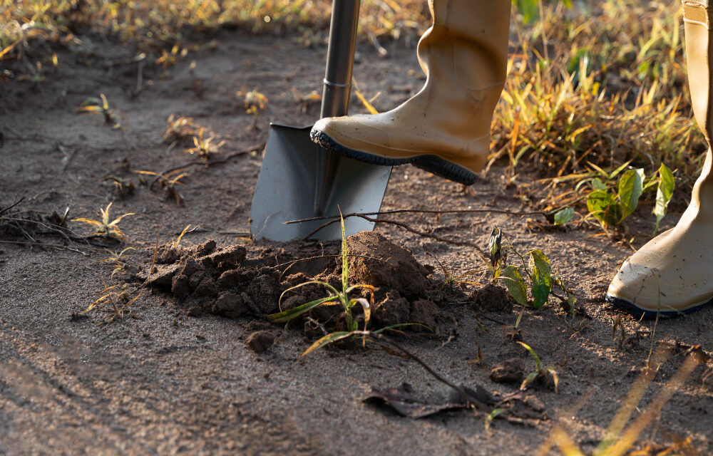 Rendőr is segítette a vračari klánt, a sírgödröt ásta, amikor rajtakapták