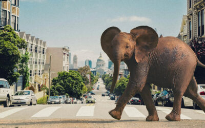 A vakvezetőktől a méheken át a kísérleti példányokig Állatok világnapja – „A bolygón élő minden egyes individuumnak megvan a joga a létezésre, és szerepe van”