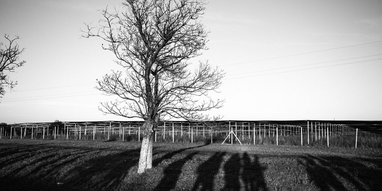 Ha megy a szombati megemlékezésre, ezeket a dolgokat ne vigye magával