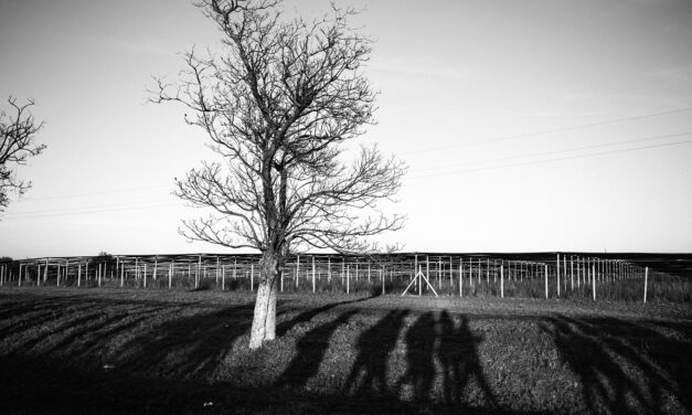 Ha megy a szombati megemlékezésre, ezeket a dolgokat ne vigye magával