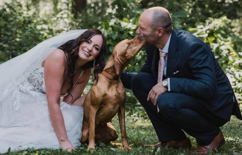 Kutyabarát esküvői helyszín: hol található ilyen?
