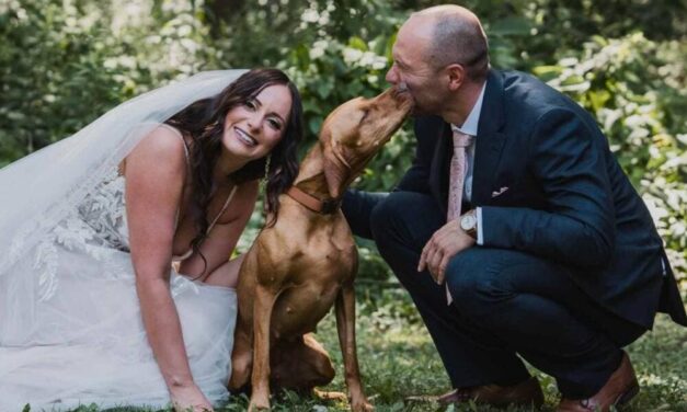 Kutyabarát esküvői helyszín: hol található ilyen?