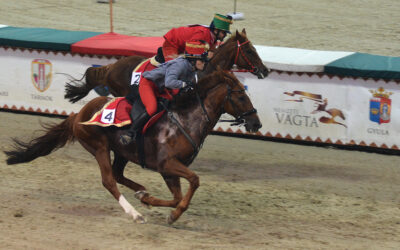Ma rendezik a Nemzeti Vágta döntőjét Szilvásváradon Vajdaságnak még lehet esélye