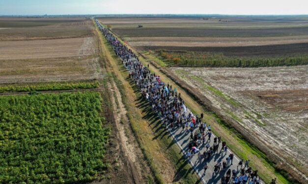 Végeláthatatlan az Újvidékre tartó menetoszlop (videóval)