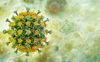 Új vírus csapott le Európában