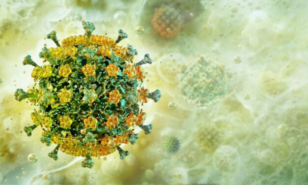 Új vírus csapott le Európában