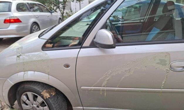 Savval öntötték le a Zöld-Baloldali Front tagjának kocsiját