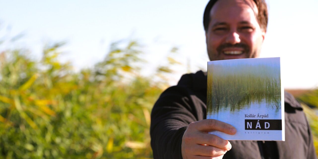 <span class="entry-title-primary">“Az élet végső soron kegyetlen”</span> <span class="entry-subtitle">Kollár Árpáddal Nád című kötetéről</span>