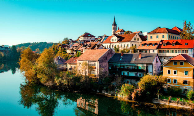 Két szlovén miniszter is azonnal lemondott egy emberölés miatt