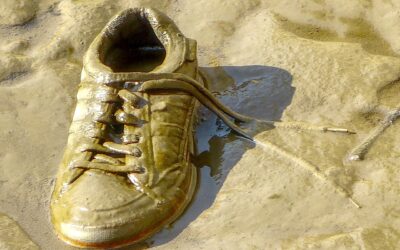 Felborult egy teherautó, húsz tonna ragacsos almaszósz folyt az autópályára (Videó)