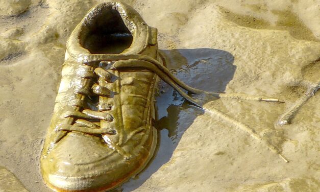 Felborult egy teherautó, húsz tonna ragacsos almaszósz folyt az autópályára (Videó)