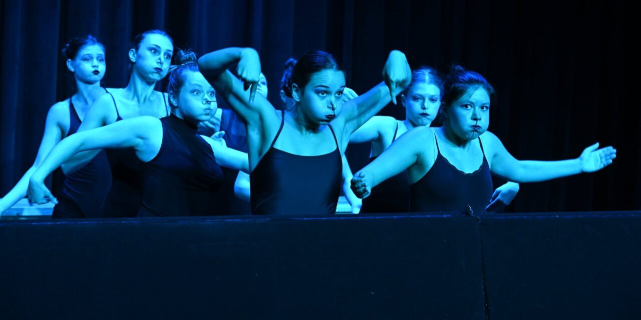 Zentán vendégszerepelnek a Színház- és Filmművészeti Egyetem hallgatói