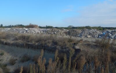 Hogy lehet, hogy a felügyelőség nem vette észre az azbesztet? A hulladékbotrány túlmutat Tavankúton, a falu lakói aggódnak, a szennyezés egész Szabadkát érintheti