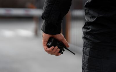 VMDK: Vajon Vučić elnök tudja, mit csinálnak a testőrei?