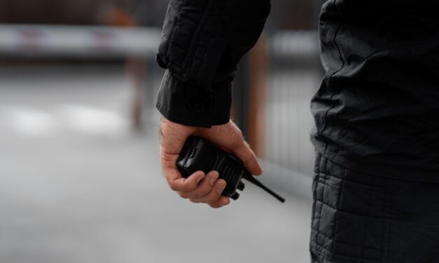 VMDK: Vajon Vučić elnök tudja, mit csinálnak a testőrei?