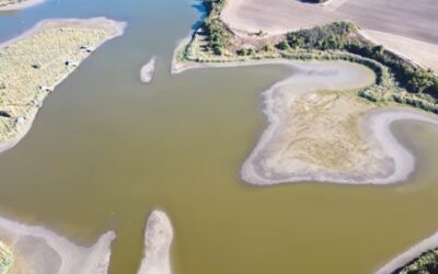 Lakossági kezdeményezés a Topolyai tó vízellátásának helyreállításáért