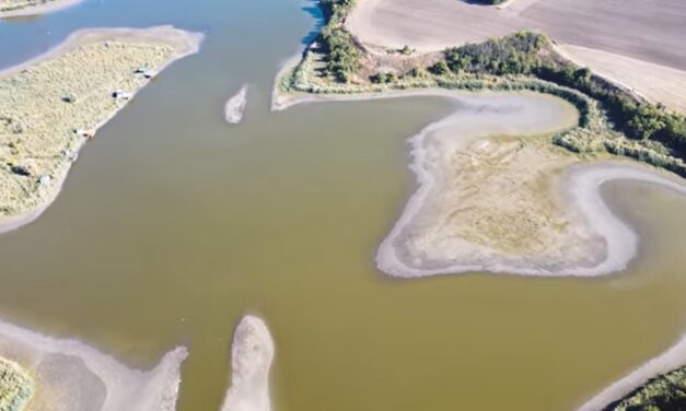 Lakossági kezdeményezés a Topolyai tó vízellátásának helyreállításáért