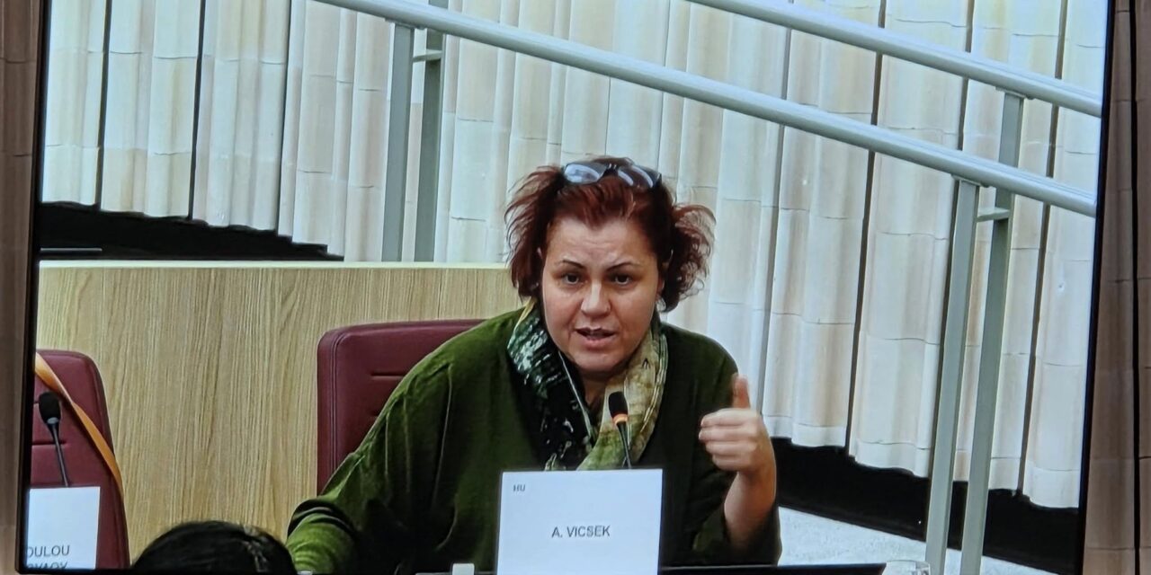 Vicsek szerint az EU-nak nincs joga beavatkozni Szerbia belügyeibe