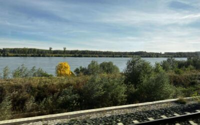 A foghíjas menetrend Vonatra fel! – Szubjekítv élménybeszámoló (2.)