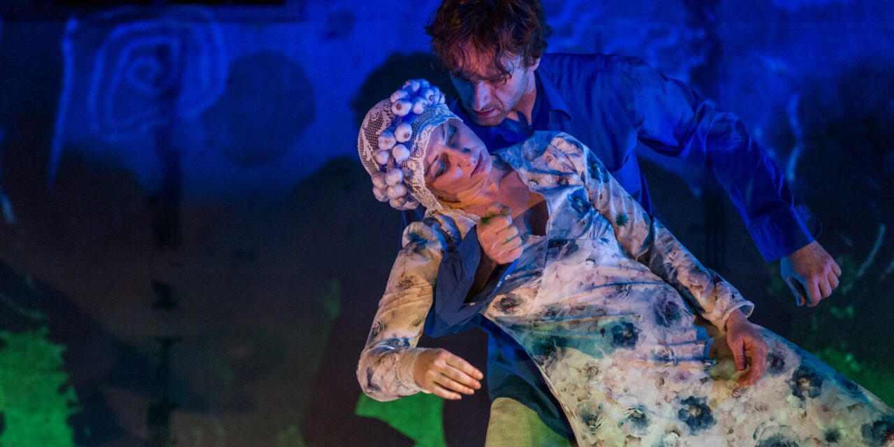 Töltsék a hűvös novemberi estéket a Zentai Magyar Kamaraszínházzal!