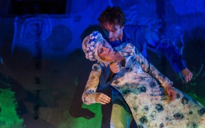 Töltsék a hűvös novemberi estéket a Zentai Magyar Kamaraszínházzal!