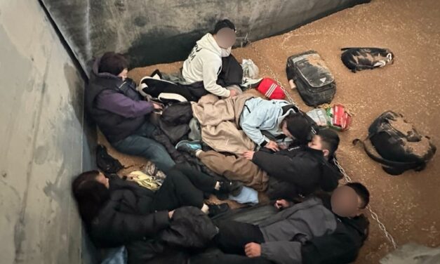 Migránsokat találtak a vámosok egy búzát szállító kamion rakományában