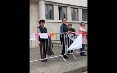 A tartományi kormányban dolgozó nők letépkedték a Jaćimovićot támogató üzeneteket (Videó)