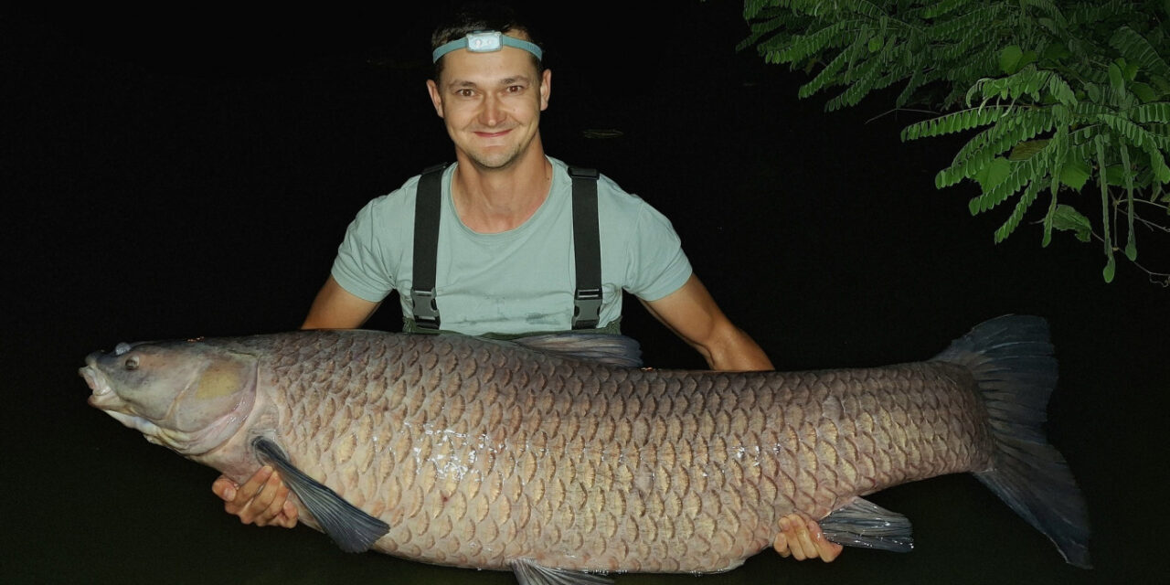 Ember méretű fekete amurt fogott egy horgász