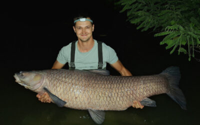 Ember méretű fekete amurt fogott egy horgász