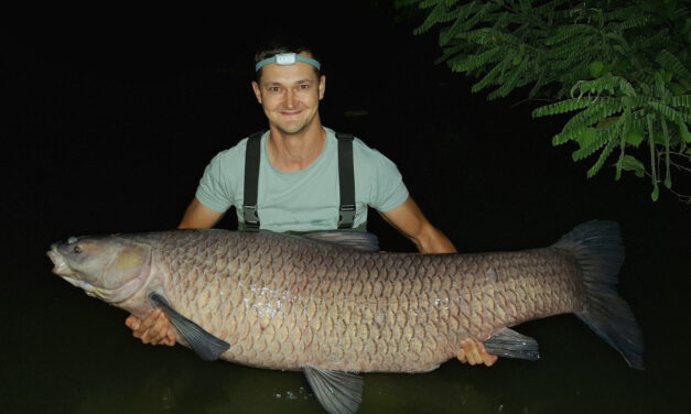 Ember méretű fekete amurt fogott egy horgász
