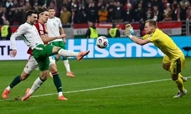 Megőrültek a szurkolók, amikor kiderült, pótselejzetőt játszhatnak (videó)